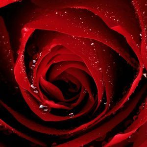 Meet your Posher, Giovanna